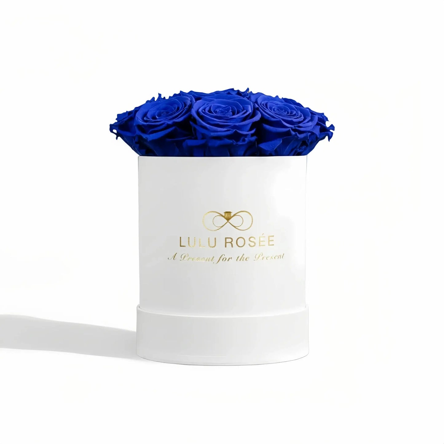 LULU ROSÉE baby round box royal blue roses white classic box on white background