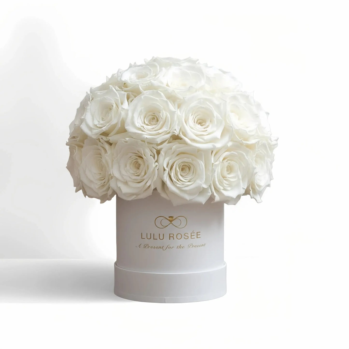 LULU ROSÉE classic superdome box white roses white classic box on white background