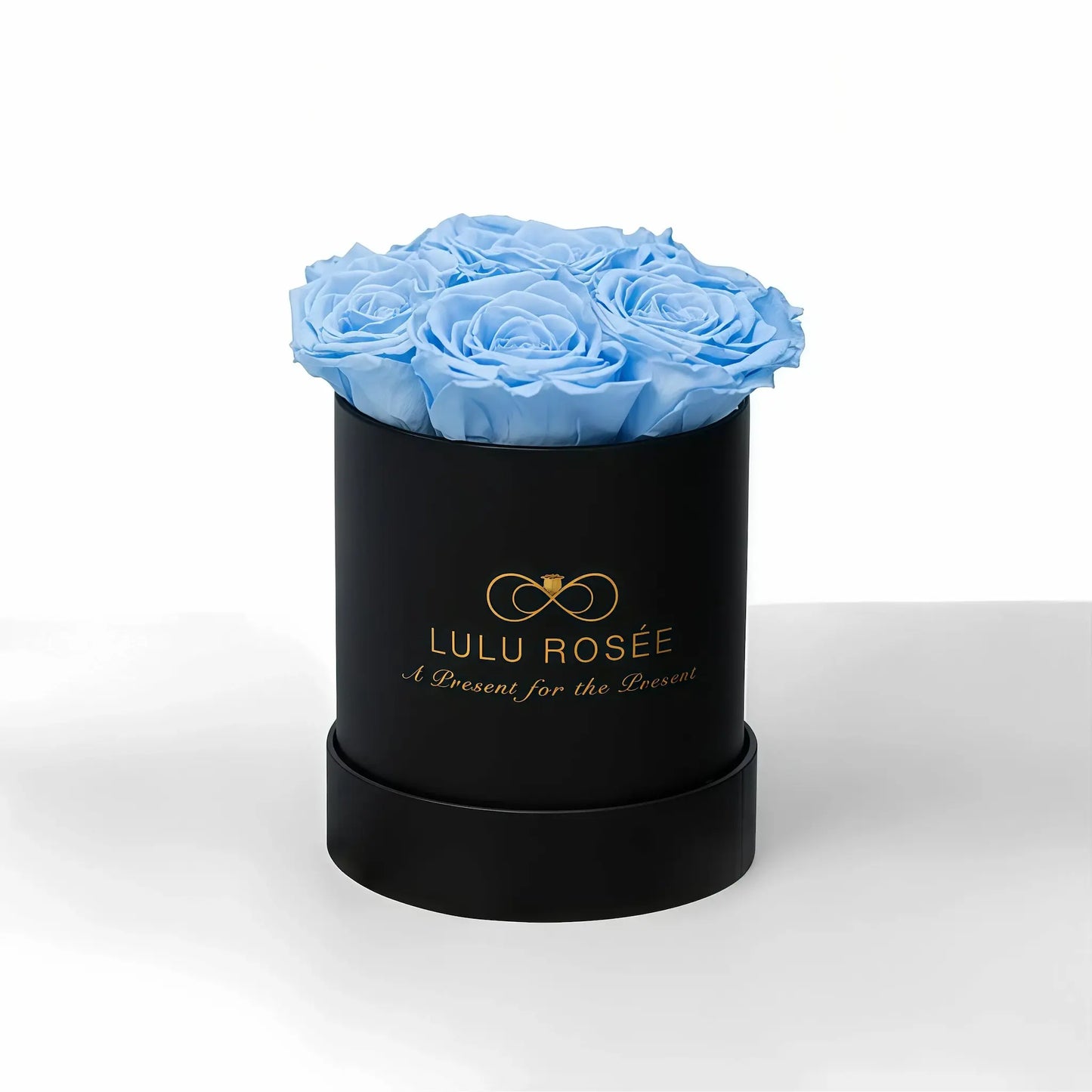 LULU ROSÉE baby round box baby blue roses black classic box on white background