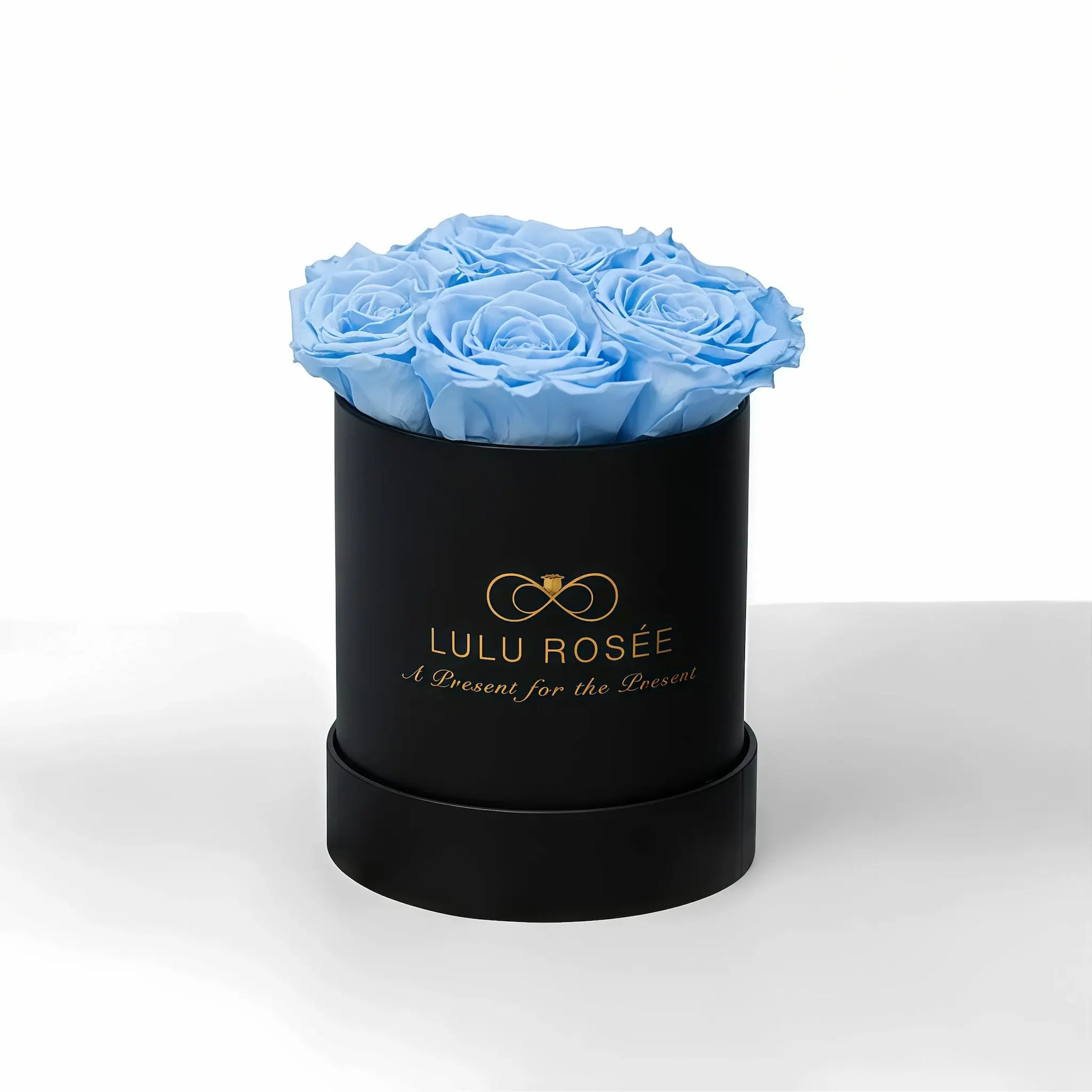 LULU ROSÉE baby round box baby blue roses black classic box on white background