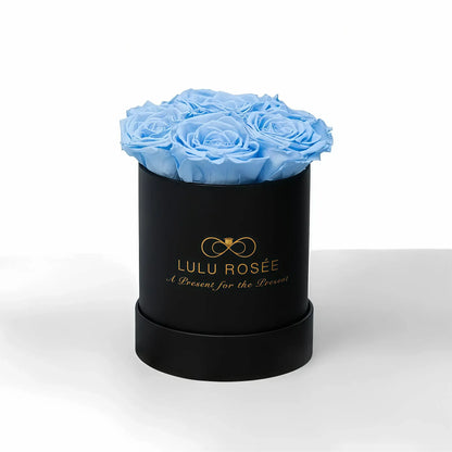 LULU ROSÉE baby round box baby blue roses black classic box on white background