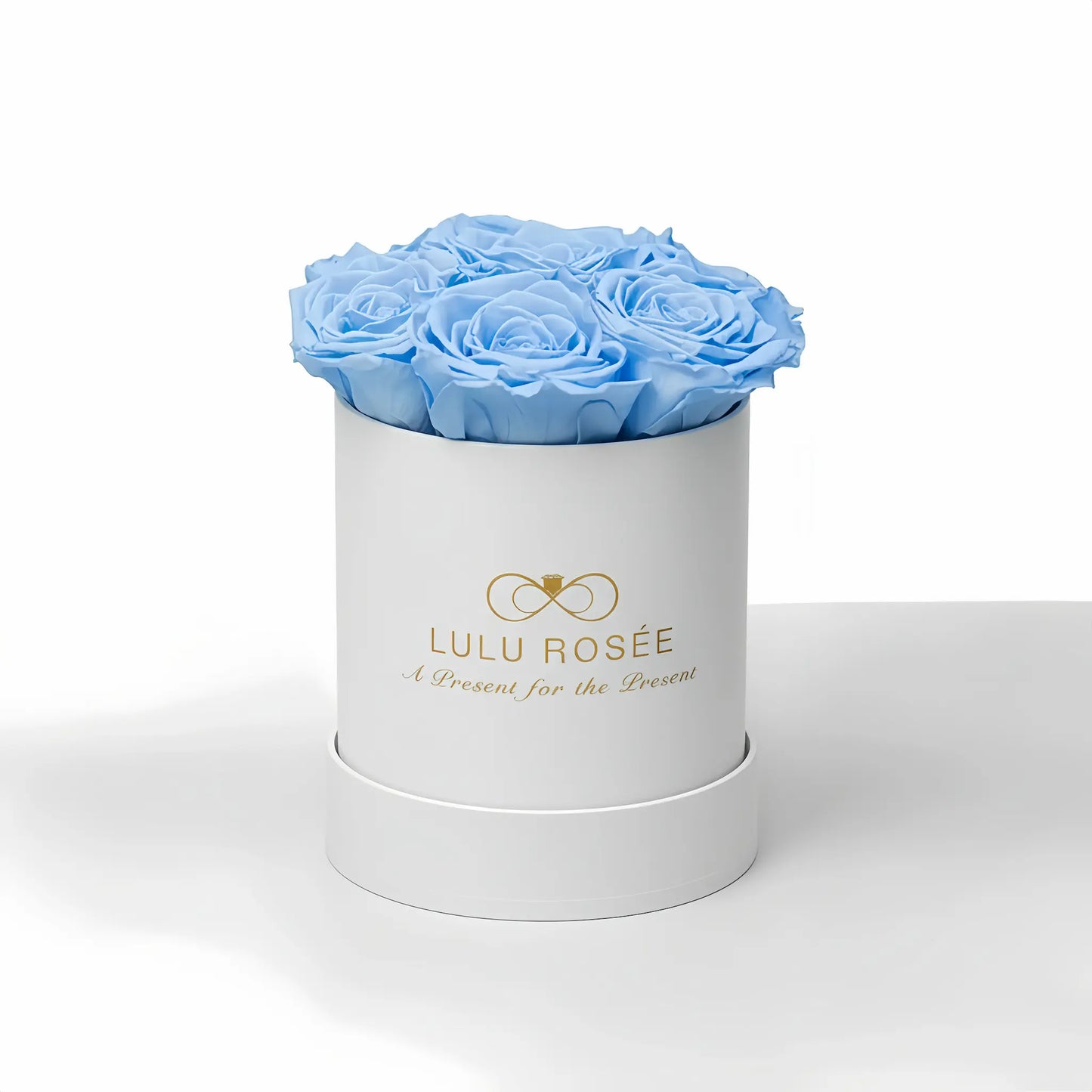 LULU ROSÉE baby round box baby blue roses white classic box on white background