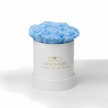 LULU ROSÉE baby round box baby blue roses white classic box on white background