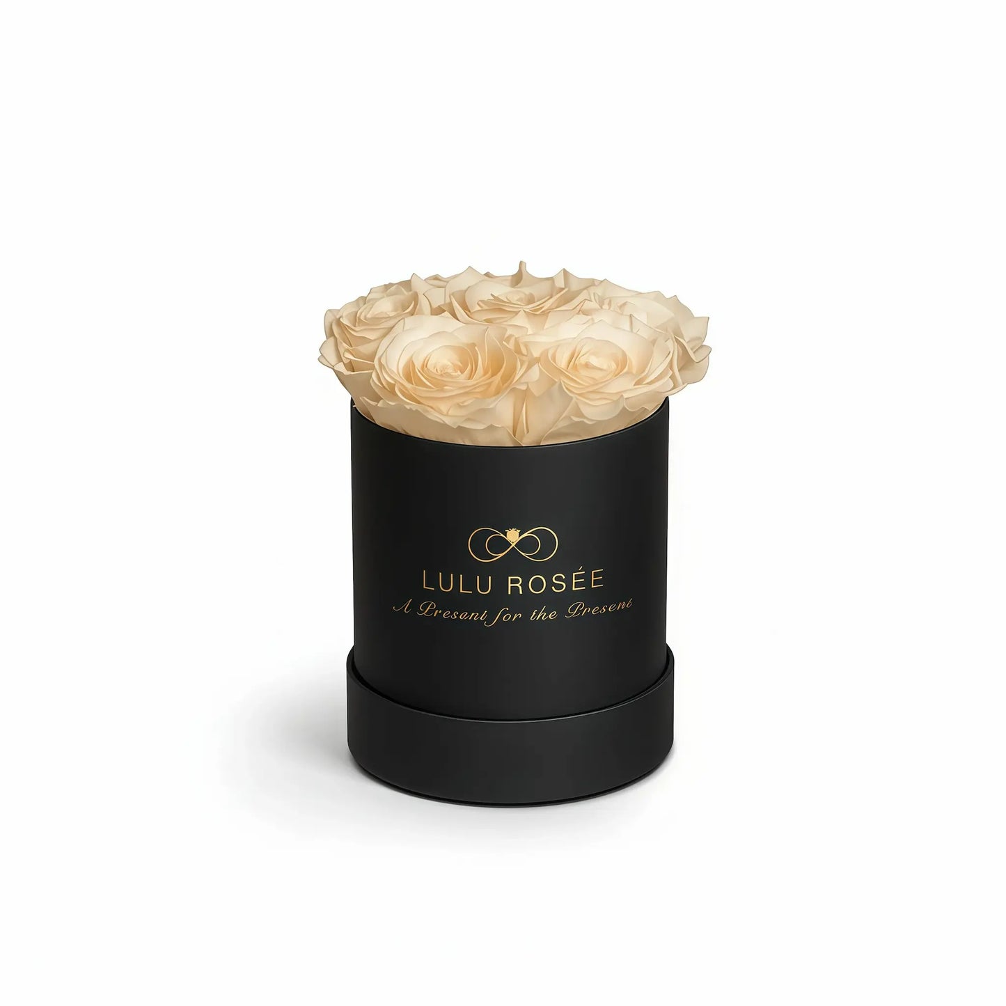 LULU ROSÉE baby round box champagne roses black classic box on white background
