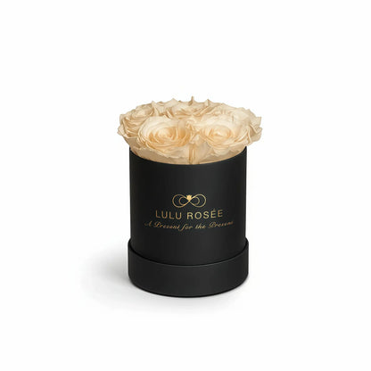 LULU ROSÉE baby round box champagne roses black classic box on white background