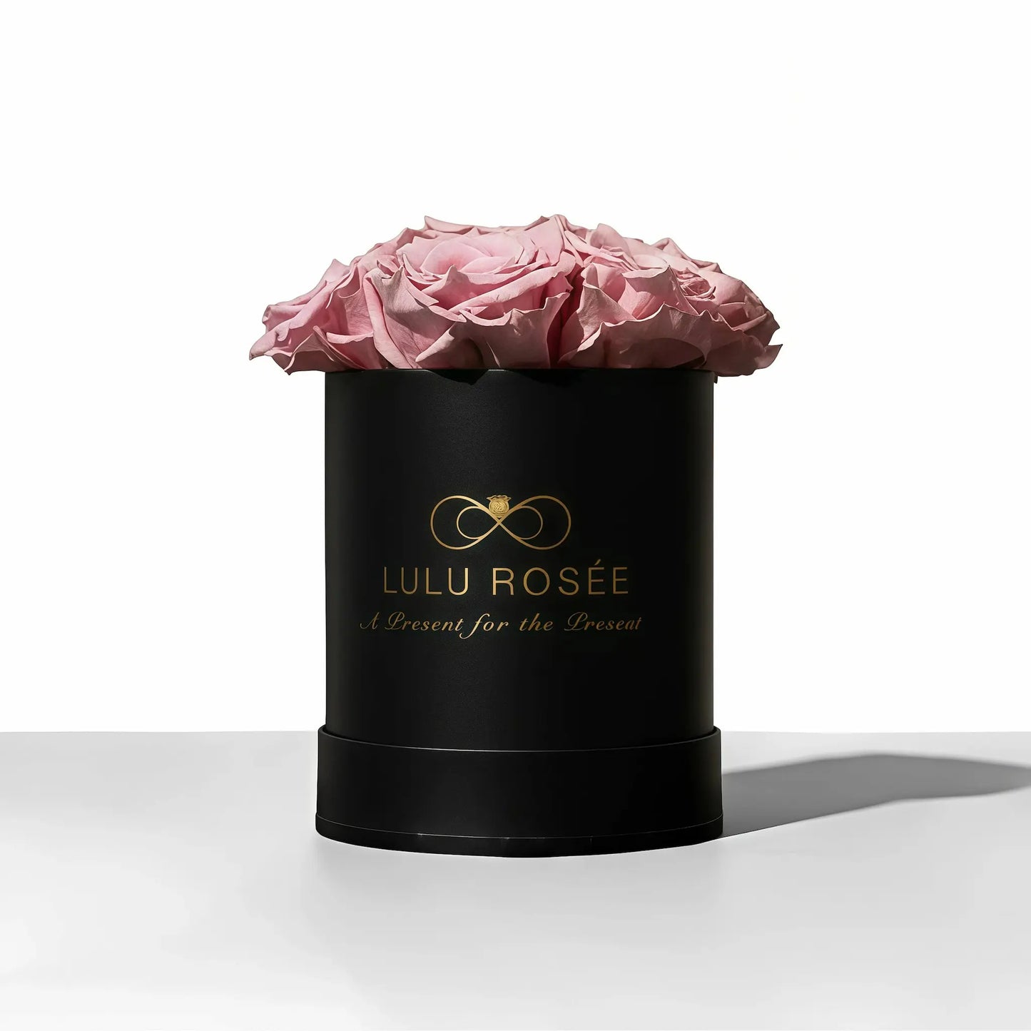 LULU ROSÉE baby round box light pink roses black classic box on white background