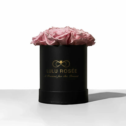LULU ROSÉE baby round box light pink roses black classic box on white background