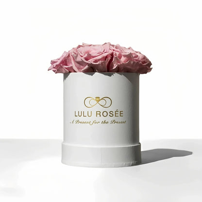 LULU ROSÉE baby round box light pink roses white classic box on white background