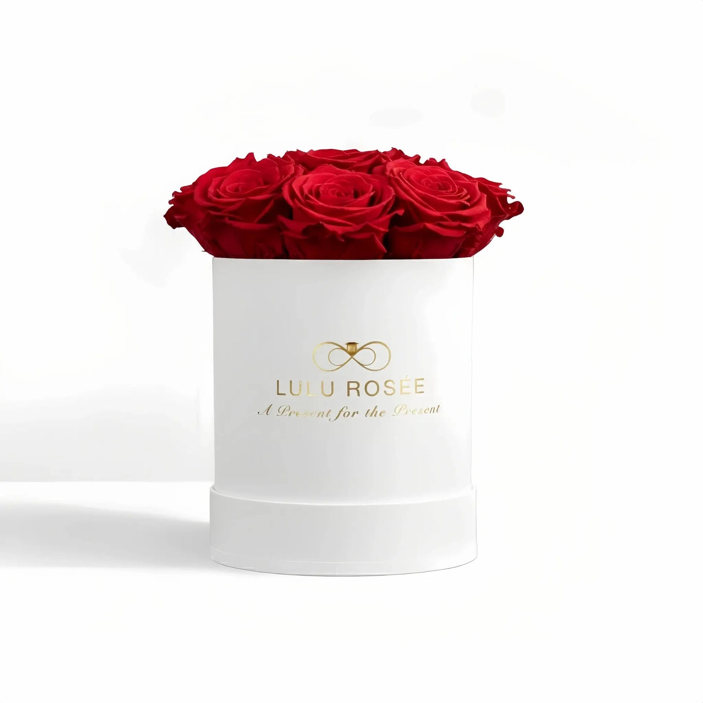 LULU ROSÉE baby round box red roses white classic box on white background
