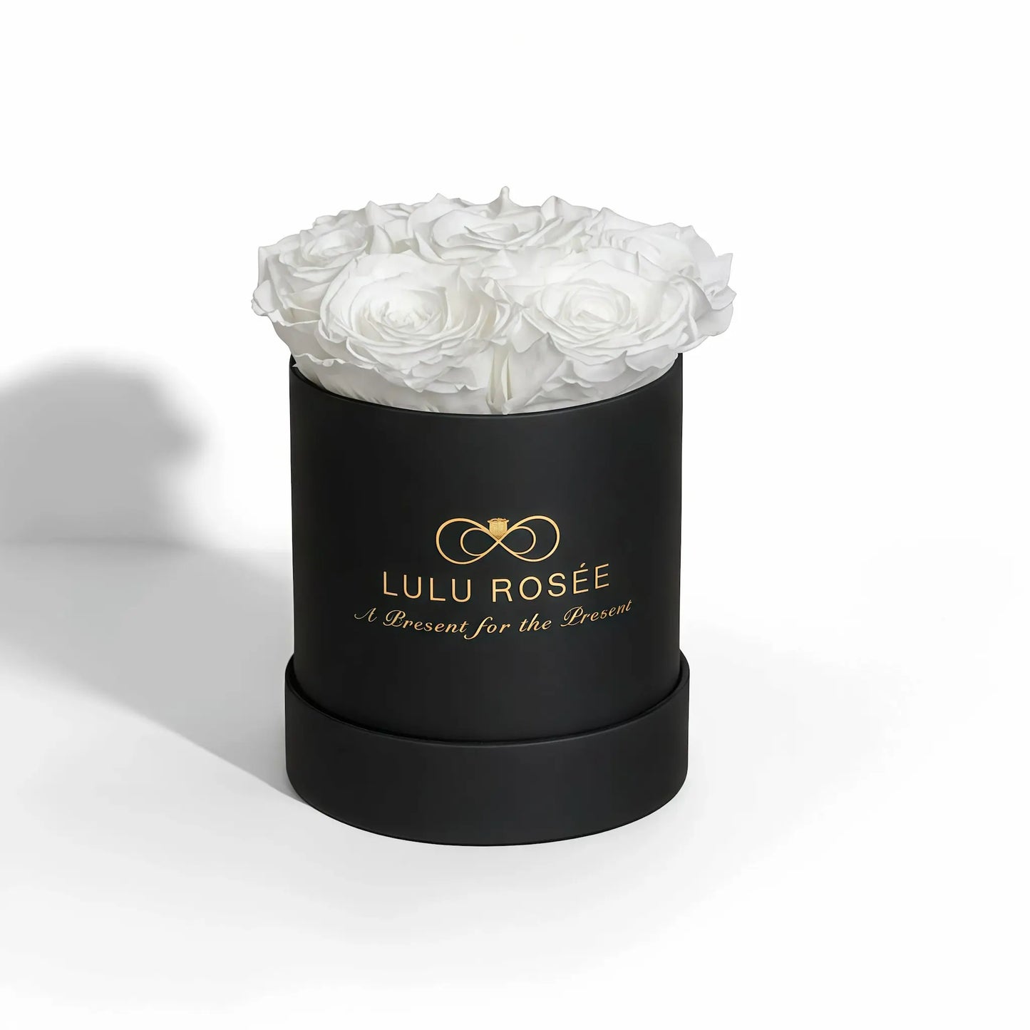 LULU ROSÉE baby round box white roses black classic box on white background