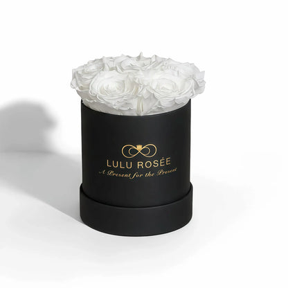 LULU ROSÉE baby round box white roses black classic box on white background
