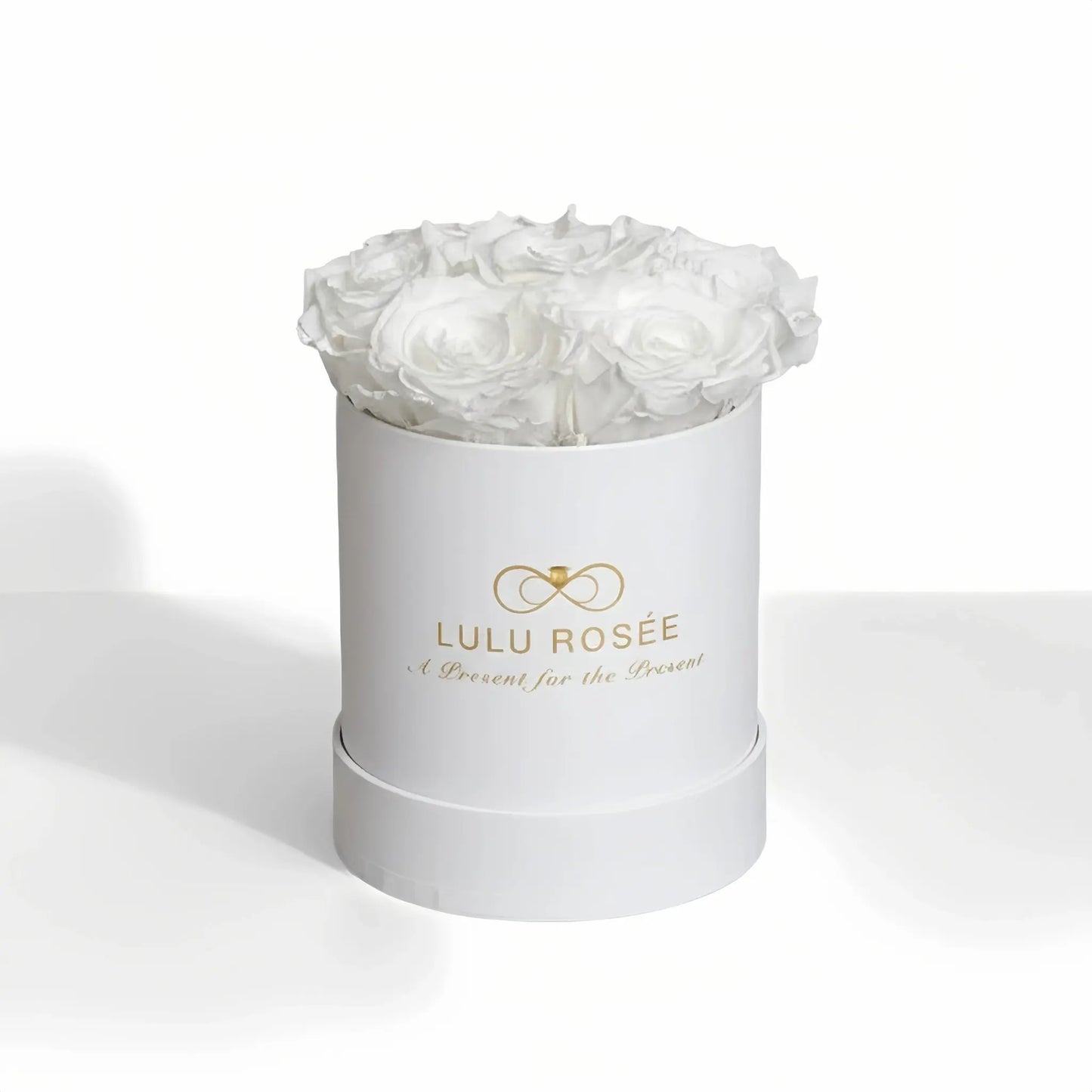 LULU ROSÉE baby round box white roses white classic box on white background