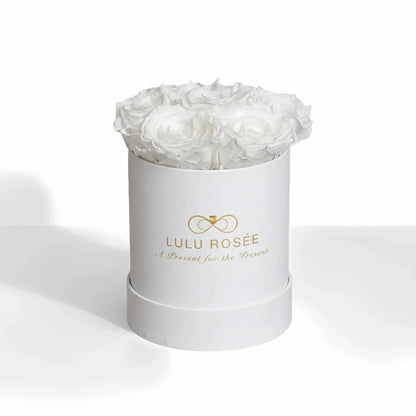 LULU ROSÉE baby round box white roses white classic box on white background
