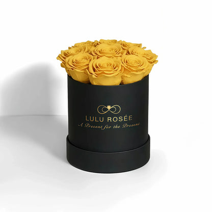 LULU ROSÉE baby round box yellow roses black classic box on white background