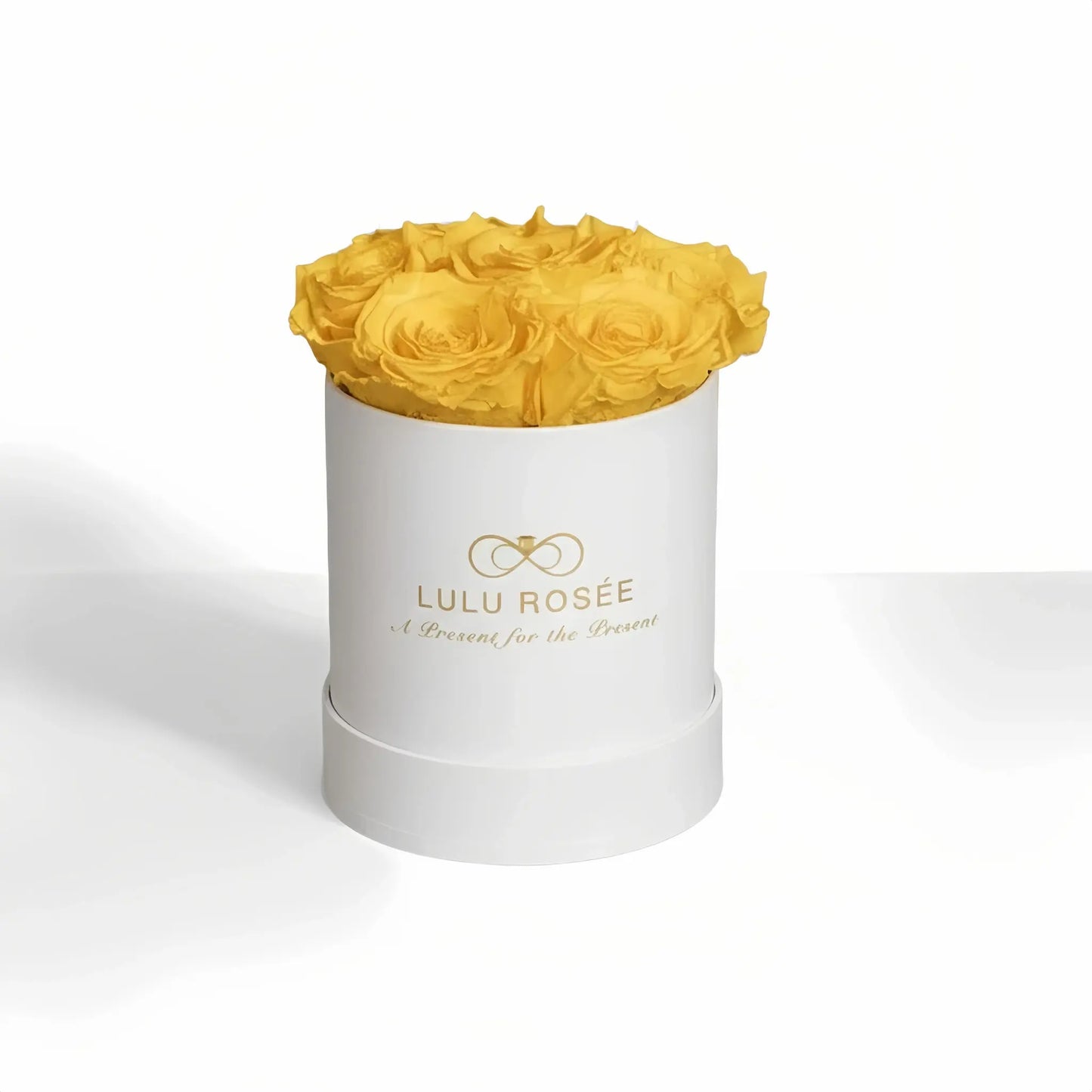 LULU ROSÉE baby round box yellow roses white classic box on white background