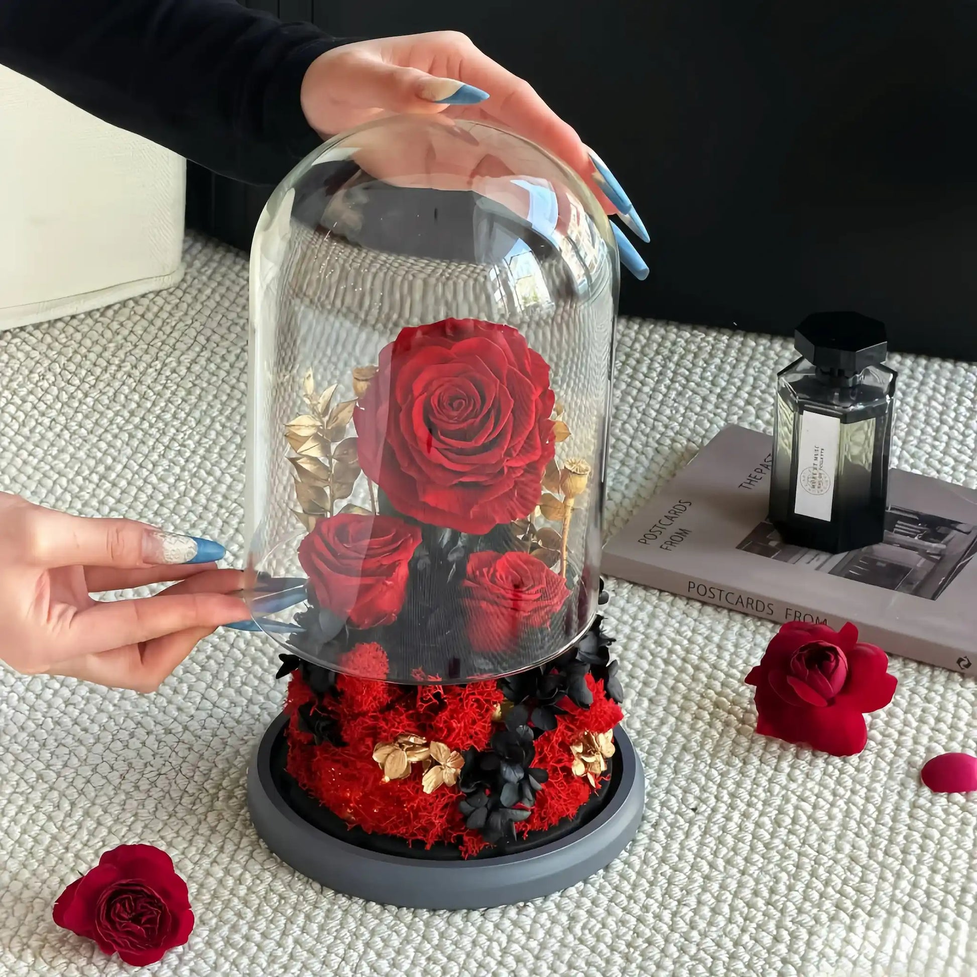 LULU ROSÉE Opening the Glass Dome of Red Preserved Rose, Black and Gold Everlasting Flower Display