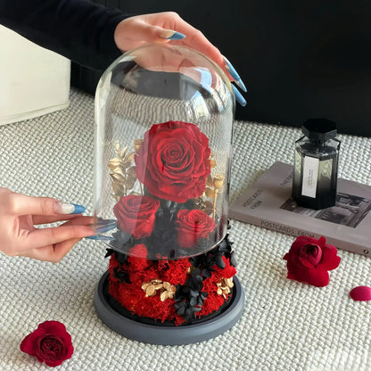 LULU ROSÉE Opening the Glass Dome of Red Preserved Rose, Black and Gold Everlasting Flower Display