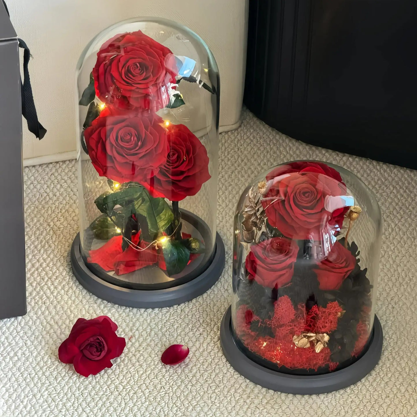 LULU ROSÉE Beauty and the Beast Rose Dome Sizes, Large and Small Red Preserved Rose in Glass Cloche for Gifting