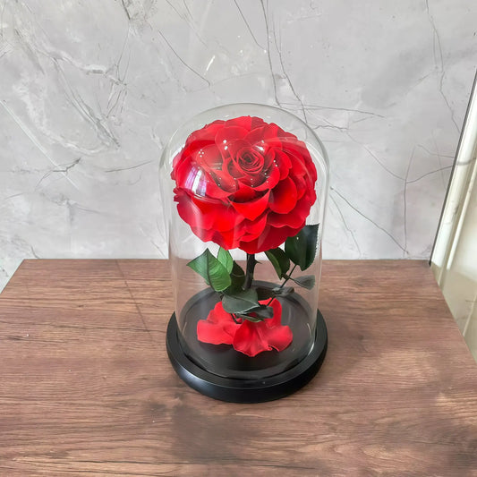 LULU ROSÉE Beauty and the Beast Red Rose Dome with Green Leaves, Everlasting Rose in Glass Case