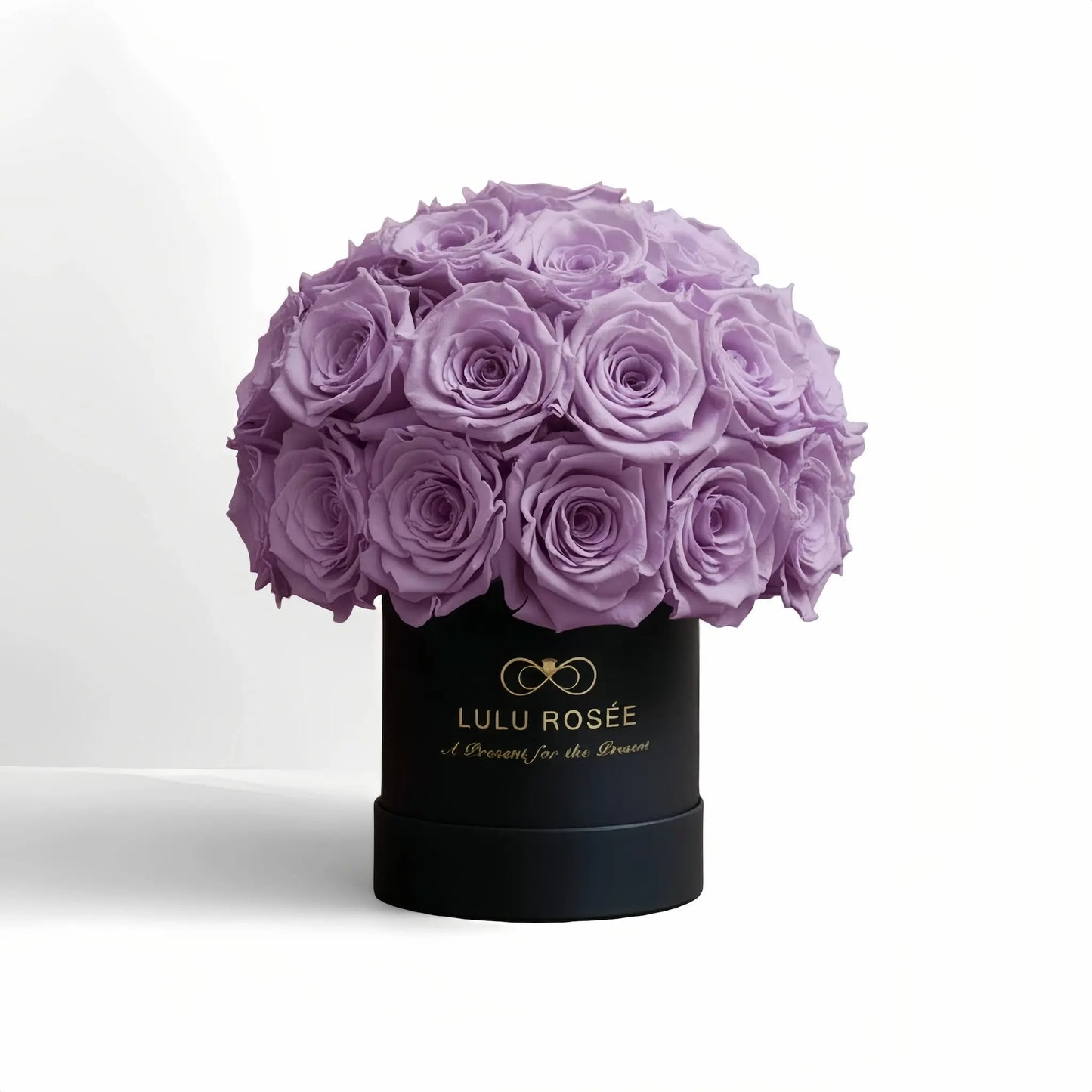 LULU ROSÉE classic superdome box lavender roses black classic box on white background
