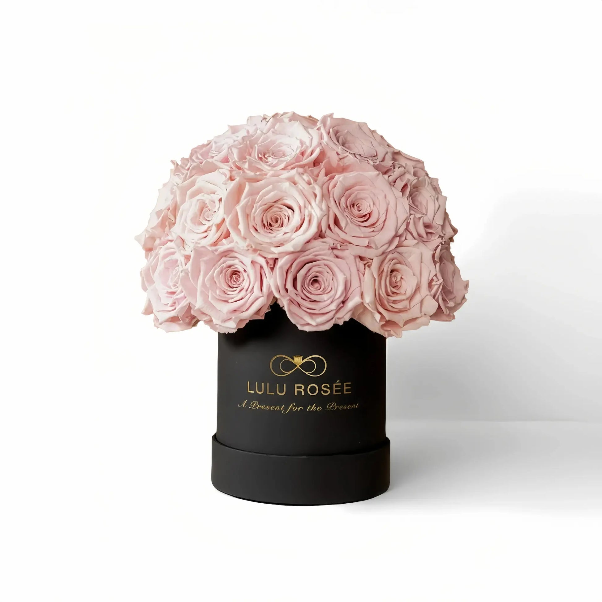 LULU ROSÉE classic superdome box light pink roses black classic box on white background