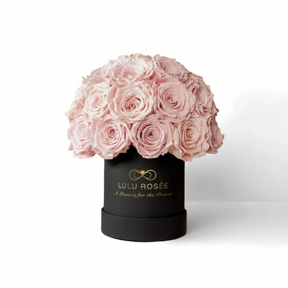 LULU ROSÉE classic superdome box light pink roses black classic box on white background