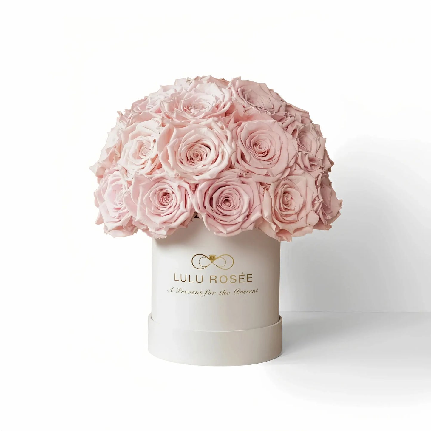 LULU ROSÉE classic superdome box light pink roses white classic box on white background