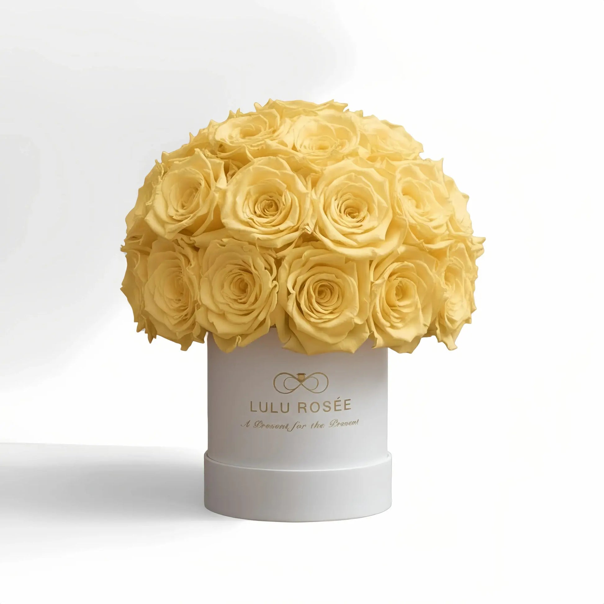 LULU ROSÉE classic superdome box light yellow roses white classic box on white background