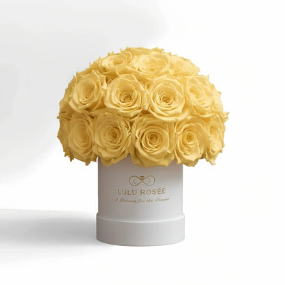 LULU ROSÉE classic superdome box light yellow roses white classic box on white background