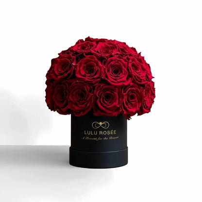LULU ROSÉE classic superdome box red roses black classic box on white background