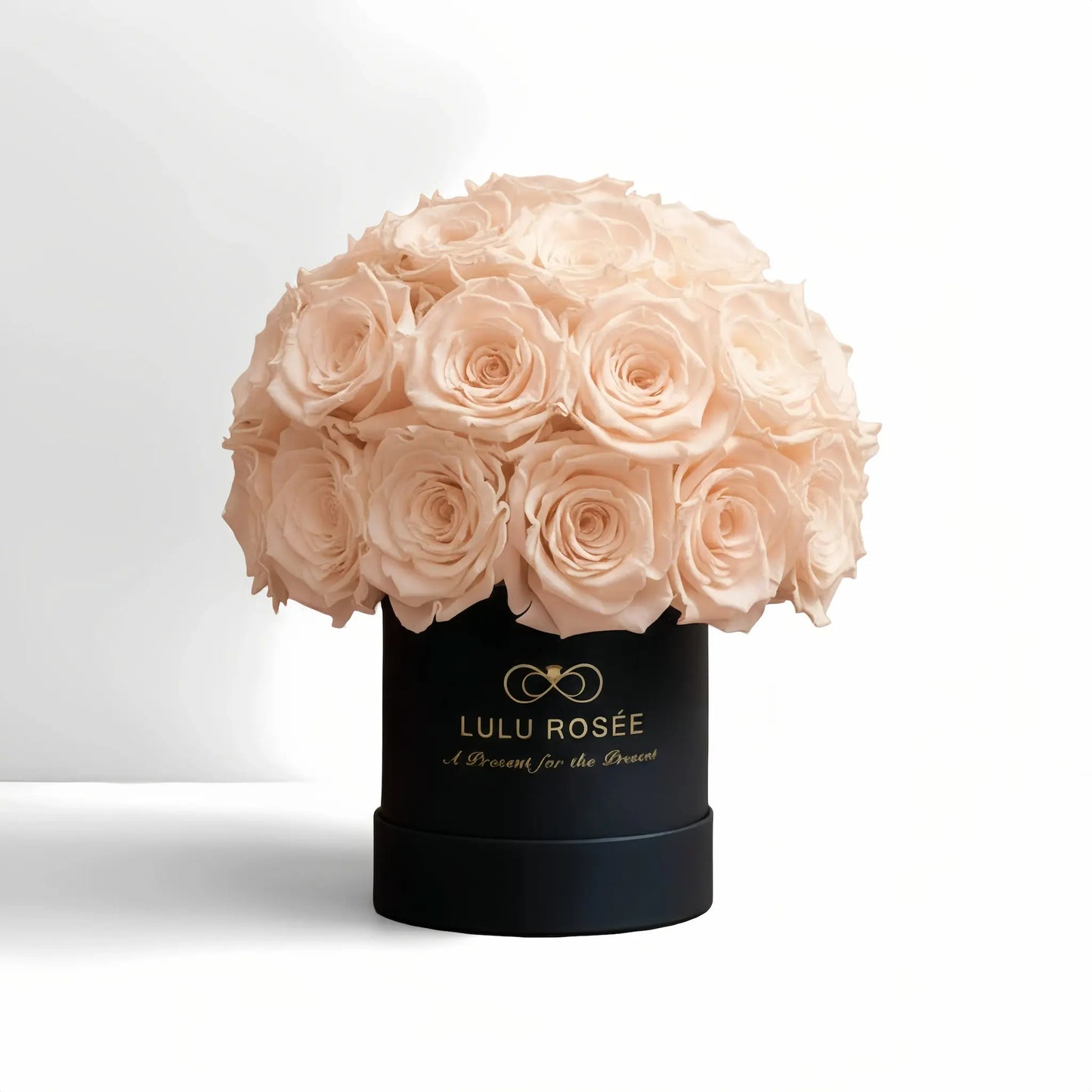 LULU ROSÉE classic superdome box red champagne roses black classic box on white background