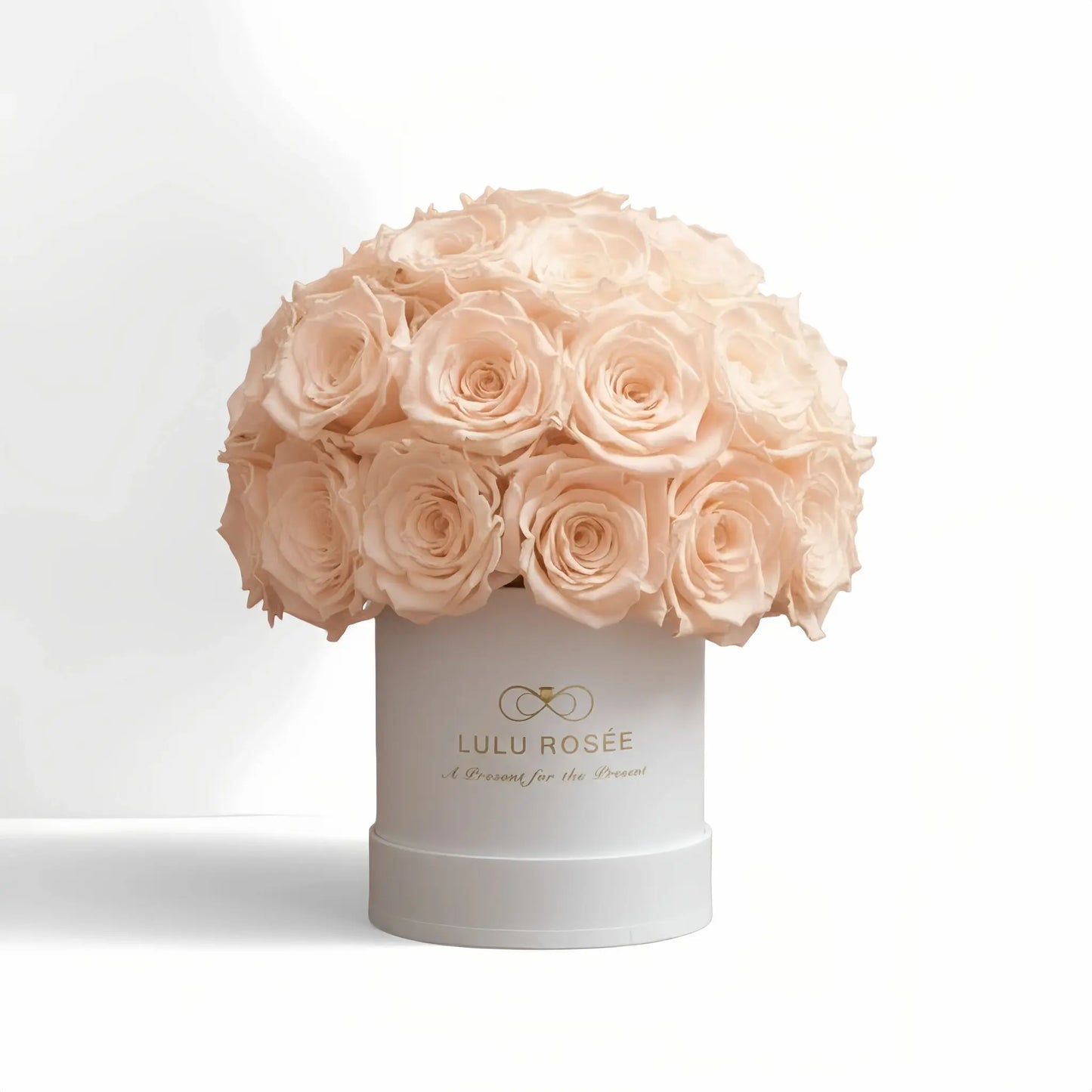 LULU ROSÉE classic superdome box red champagne roses white classic box on white background