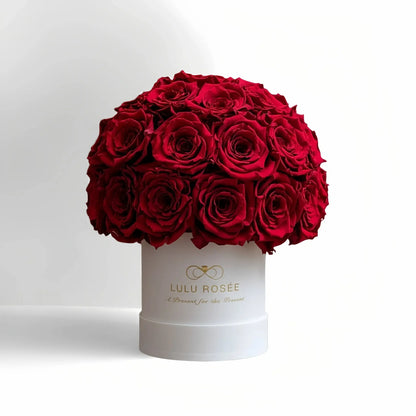 LULU ROSÉE classic superdome box red roses white classic box on white background
