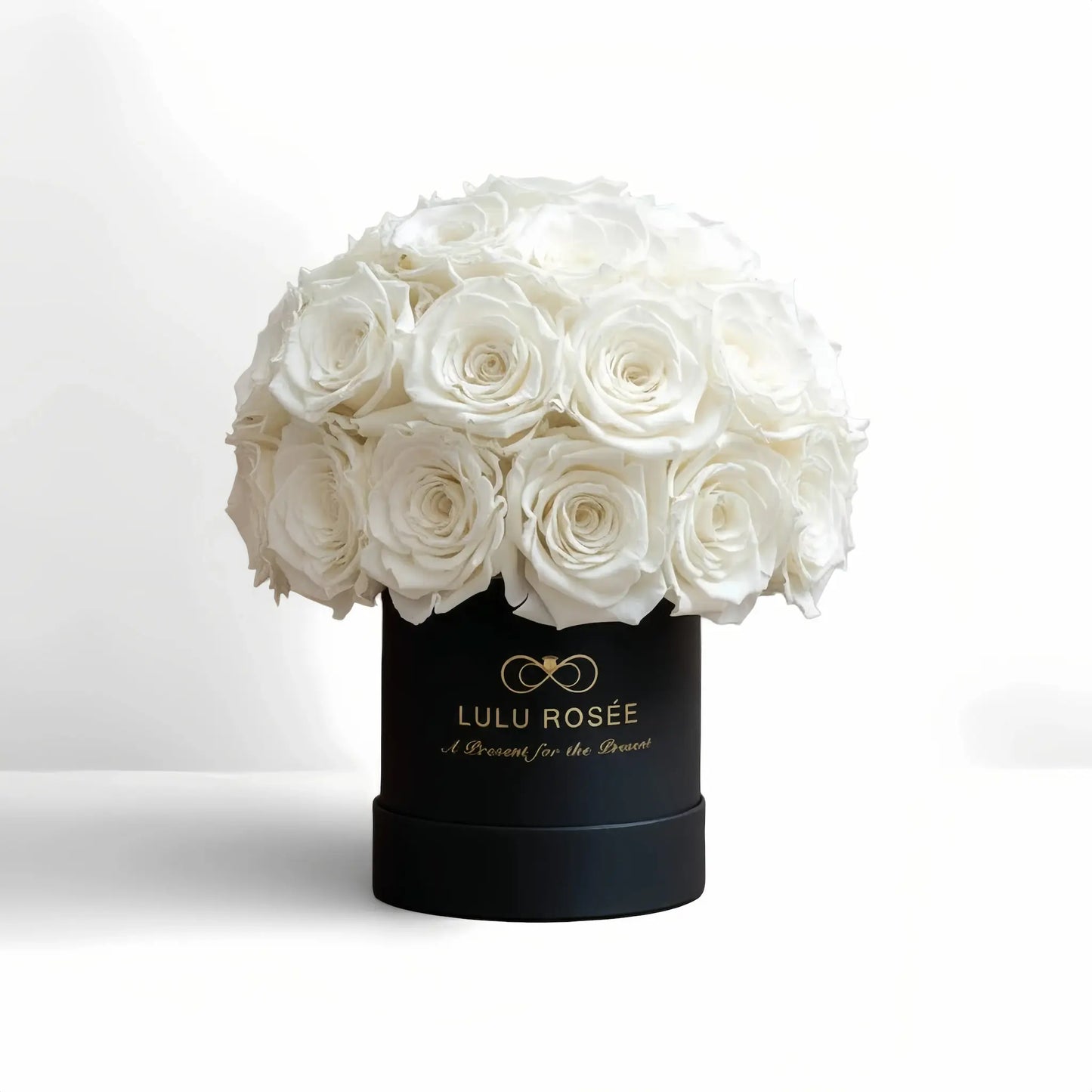 LULU ROSÉE classic superdome box white roses black classic box on white background