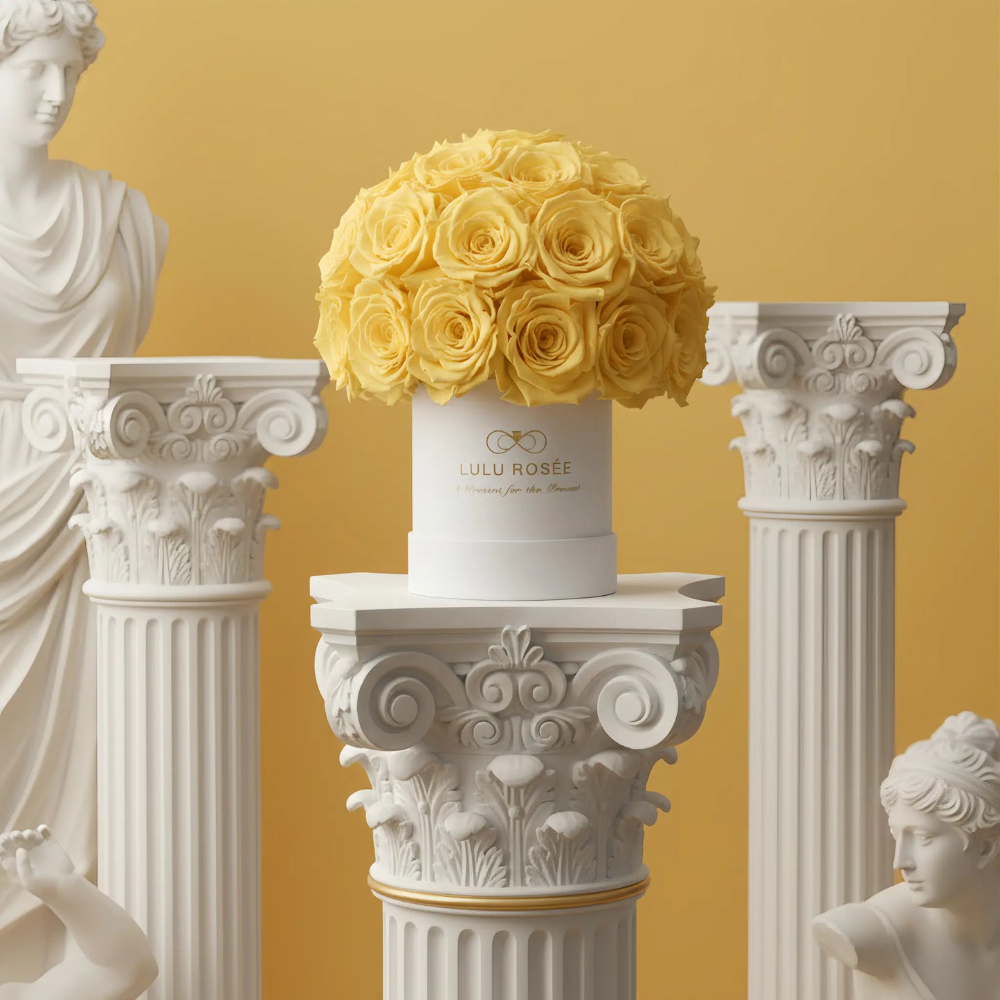 LULU ROSÉE classic superdome box light yellow roses white box on decorative columns and classical statues against a yellow background.