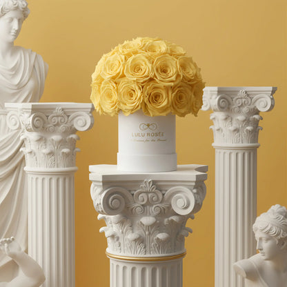 LULU ROSÉE classic superdome box light yellow roses white box on decorative columns and classical statues against a yellow background.