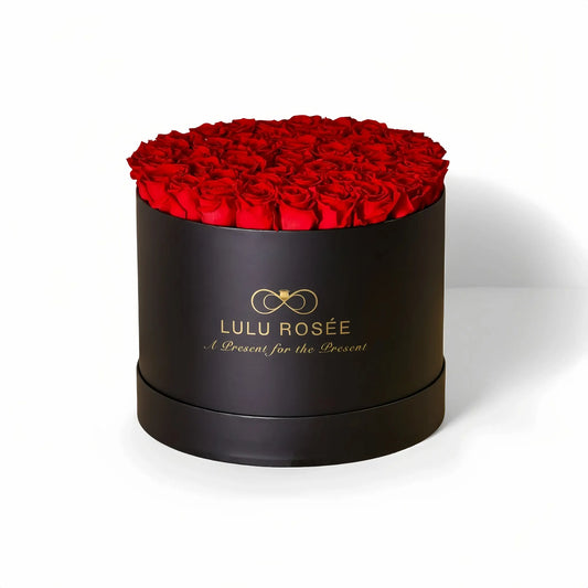 LULU ROSÉE extra large round box red roses black classic box on white background