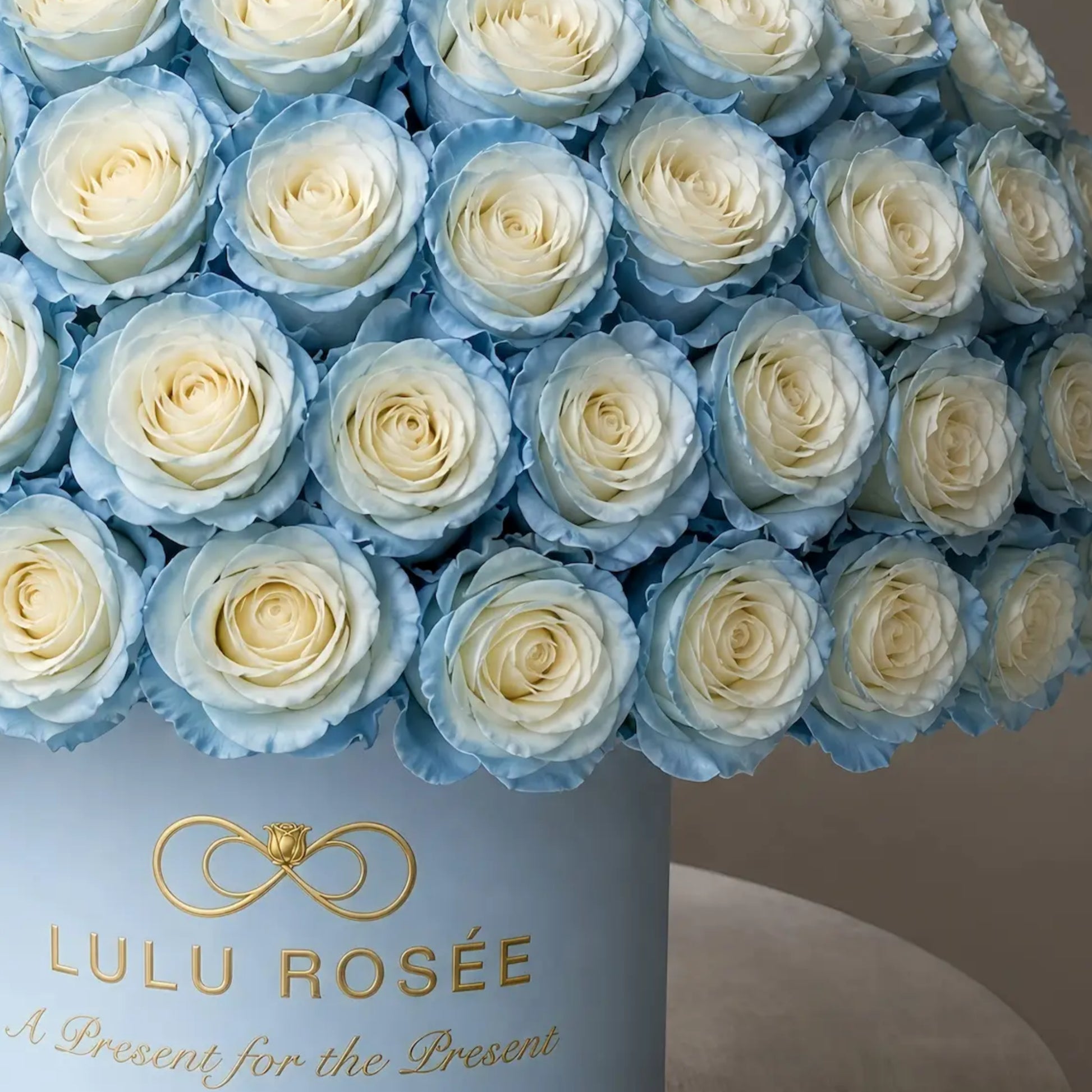 LULU ROSÉE Grande Superdome Ice Blue Gradient Preserved Rose Box low angle closeup, showcasing abundant ice blue gradient preserved rose dome arrangement