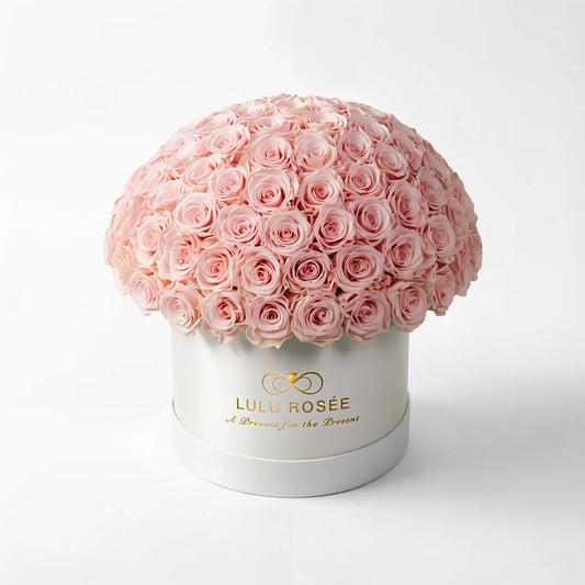 LULU ROSÉE large le plein baby pink roses white box on white background