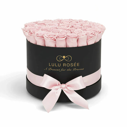 LULU ROSÉE large round box light pink roses black classic box on white background