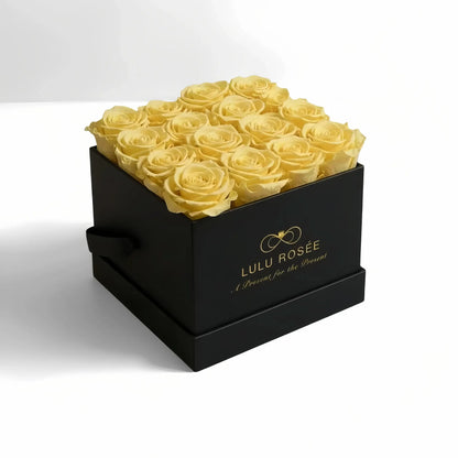 LULU ROSÉE medium square box light yellow roses black classic box on white background