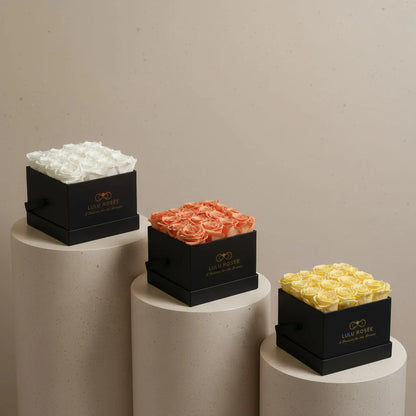 Three black boxes with preserved roses on cylindrical concrete stands against a beige background