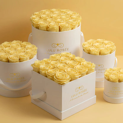White boxes filled with yellow roses on a yellow background, featuring Lulu Rosee branding.