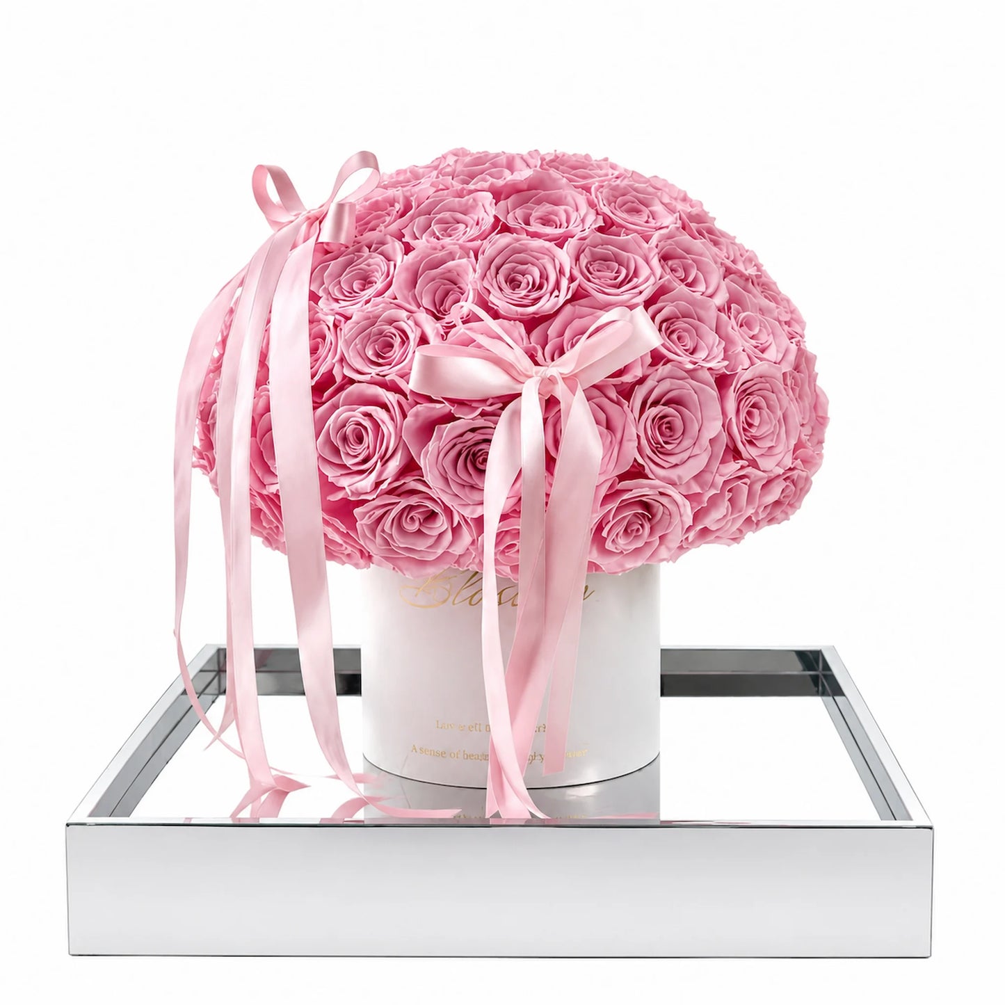 LULU ROSÉE Pink Preserved Rose Bucket in Clear Acrylic Box on a White Background