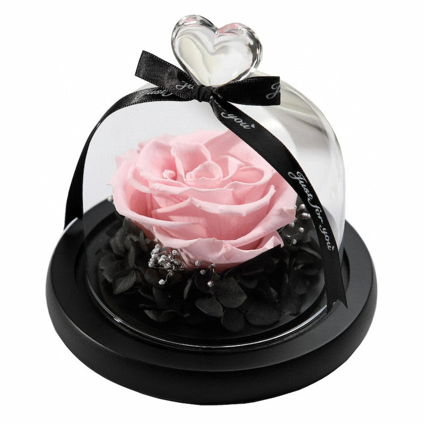 LULU ROSÉE single rose glass dome pink rose on white background
