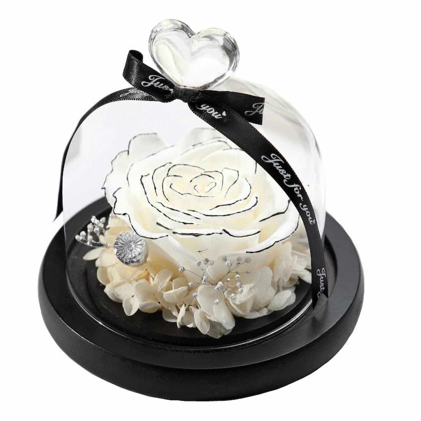 LULU ROSÉE single rose glass dome white and black mixed rose on a white background