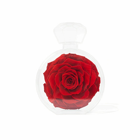 LULU ROSÉE single rose perfume bottle red rose on white background