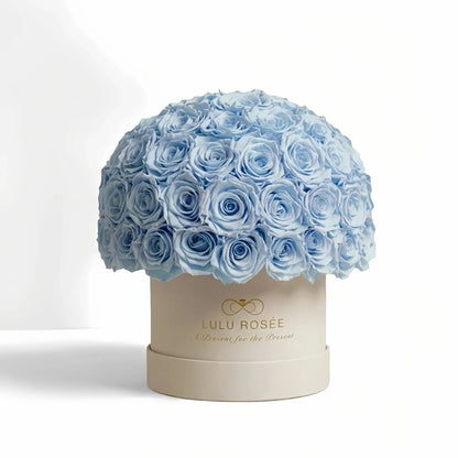 LULU ROSÉE superdome box baby blue roses beige box on white background