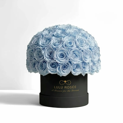 LULU ROSÉE superdome box baby blue roses black box on white background
