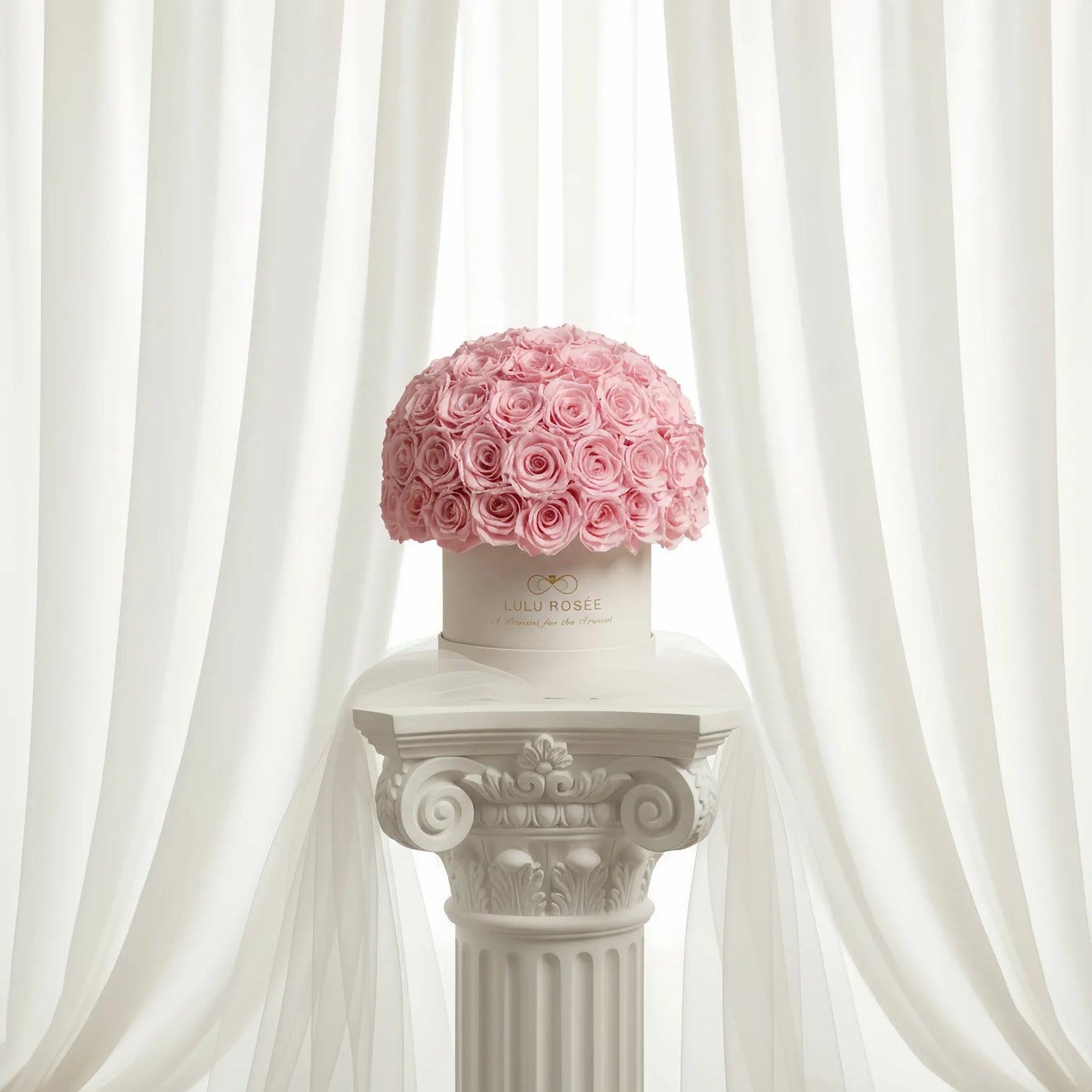 LULU ROSÉE superdome box light pink roses beige box on a decorative column with white curtains in the background